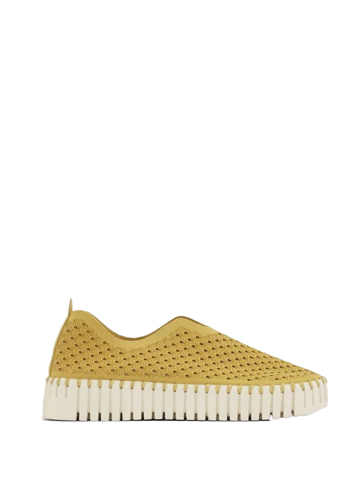 TULIP 3373 GOLDEN ROD #818 JACOBSEN Scarpe TULIP3373/GORO